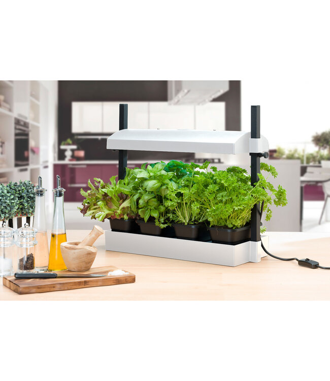 Growlight Garden Micro White