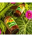 Kelpy Plant Food Large Size 500 Ml/ 16.8 oz