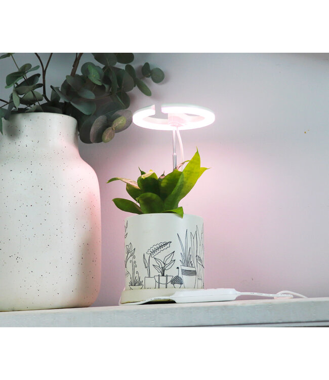 Sunblaster Halo 360 LED Grow Light