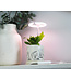 Sunblaster Halo 360 LED Grow Light