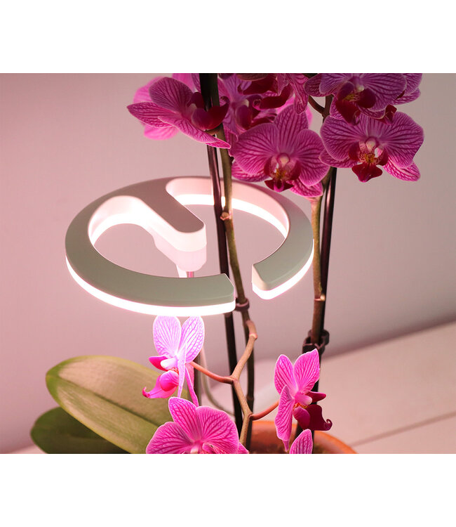 Sunblaster Halo 360 LED Grow Light