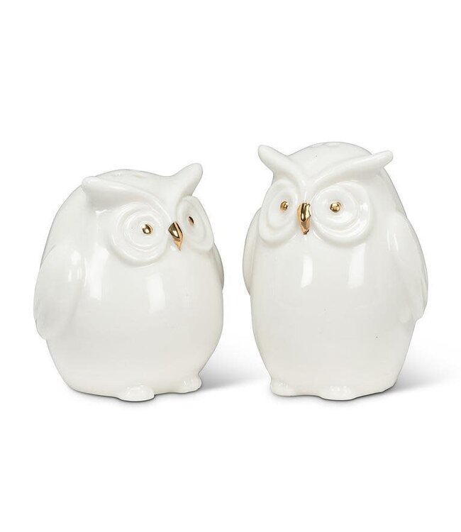 Owl Salt & Pepper Shaker