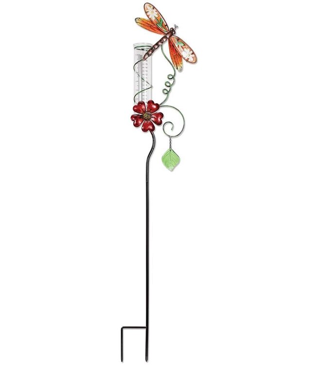 Rain Gauge Dragonfly
