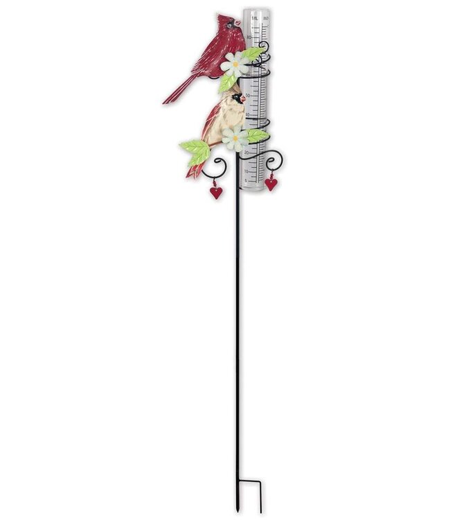 Rain Gauge Cardinal