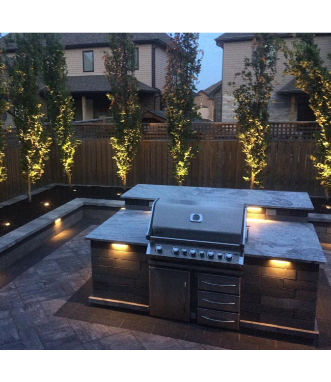 in-lite Evo Hyde Wall Light Dark 180 Degree