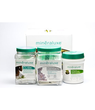 Mineraluxe 3 Month Chlorine Mineraluxe System (Dichlor)1