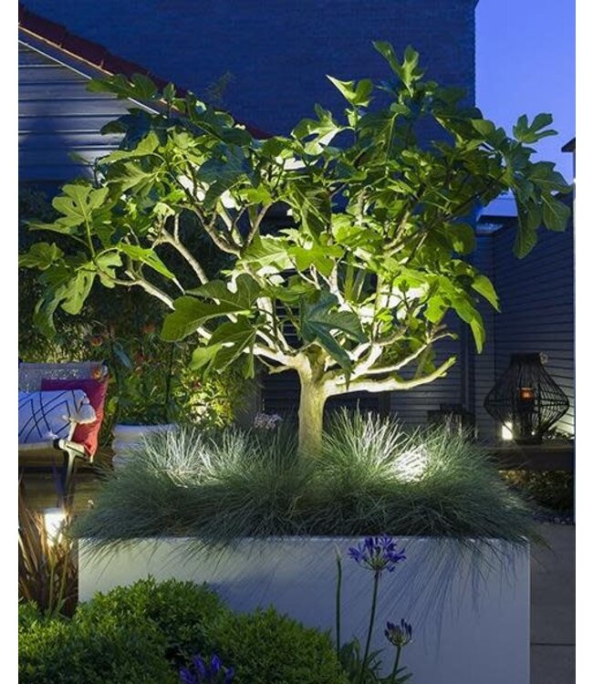 in-lite Scope Spot Light