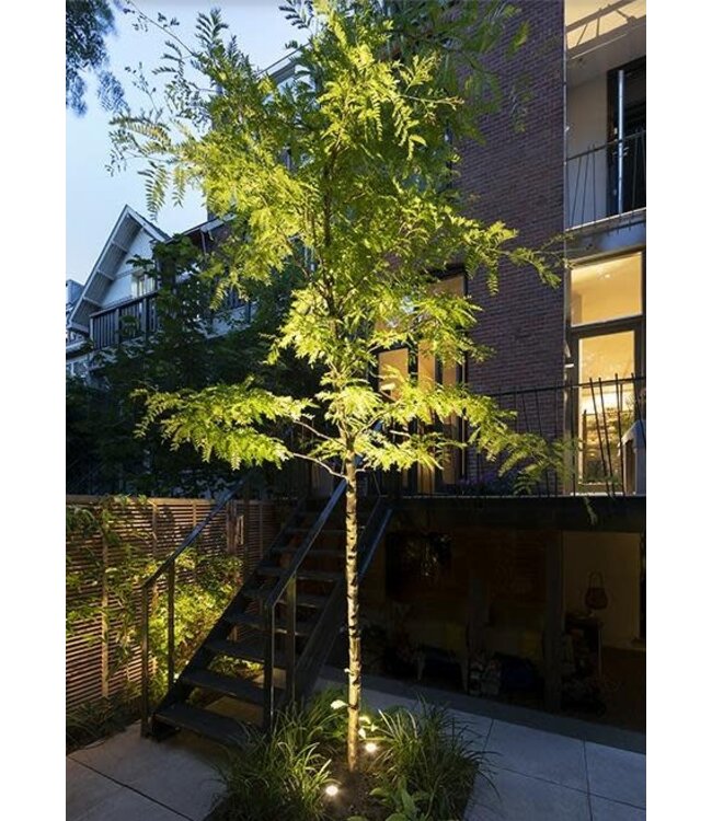 in-lite Scope Spot Light