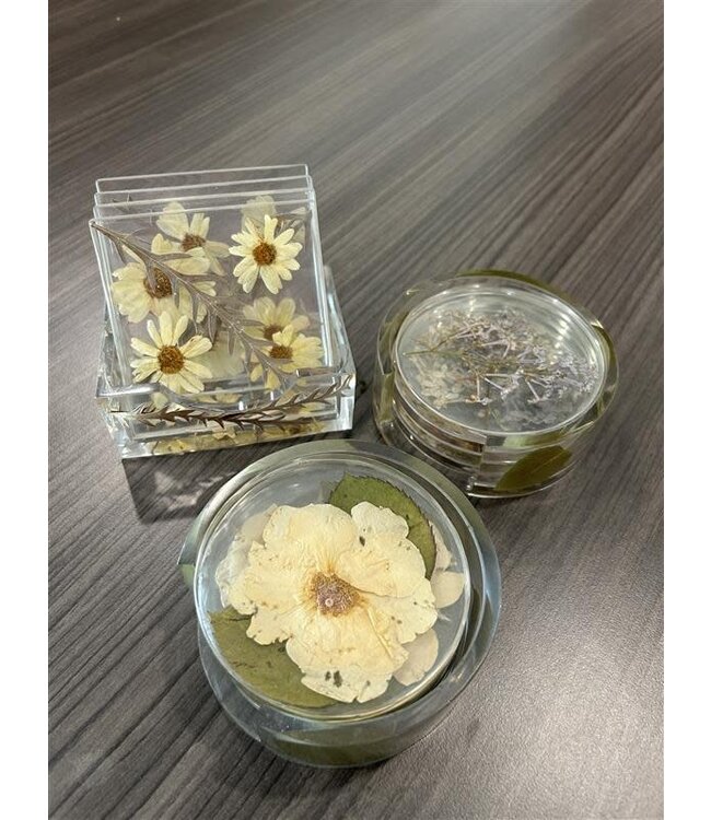 Preserved Floral Coasters - Set of 4
