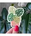 Monstera Vinyl Sticker