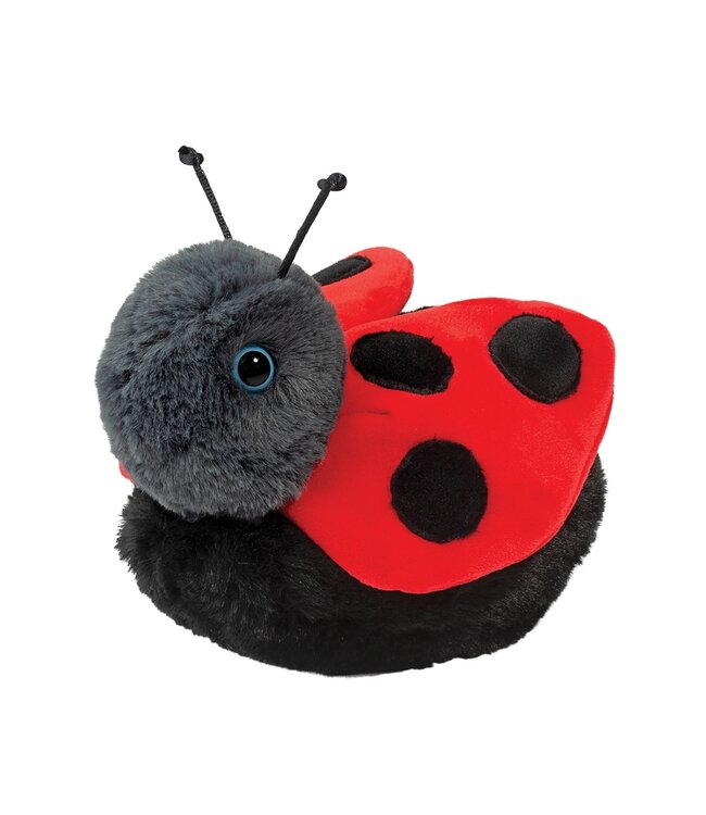 Bert Ladybug