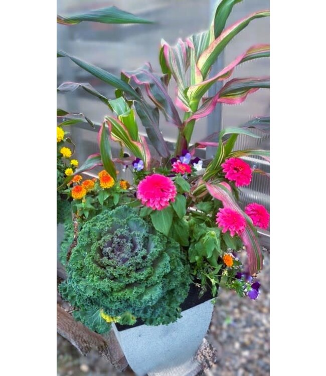 Square Fall Planter 13in [10]