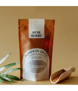 Bush Berry Organic Pumpkin Spice Tea