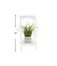 2-Tier Metal Plant Stand, White