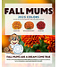 Fall Mums Fundraiser for Westman Dreams for Kids