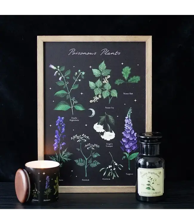 Poisonous Plants Gothic Botanical Framed Wall Art Print