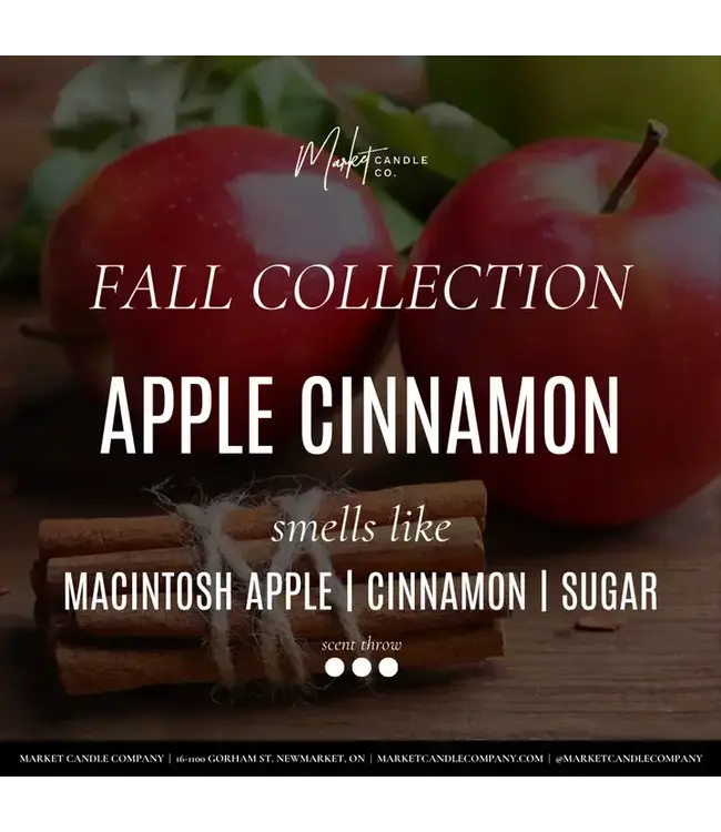 Apple Cinnamon Soy Fall Candle