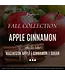 Apple Cinnamon Soy Fall Candle
