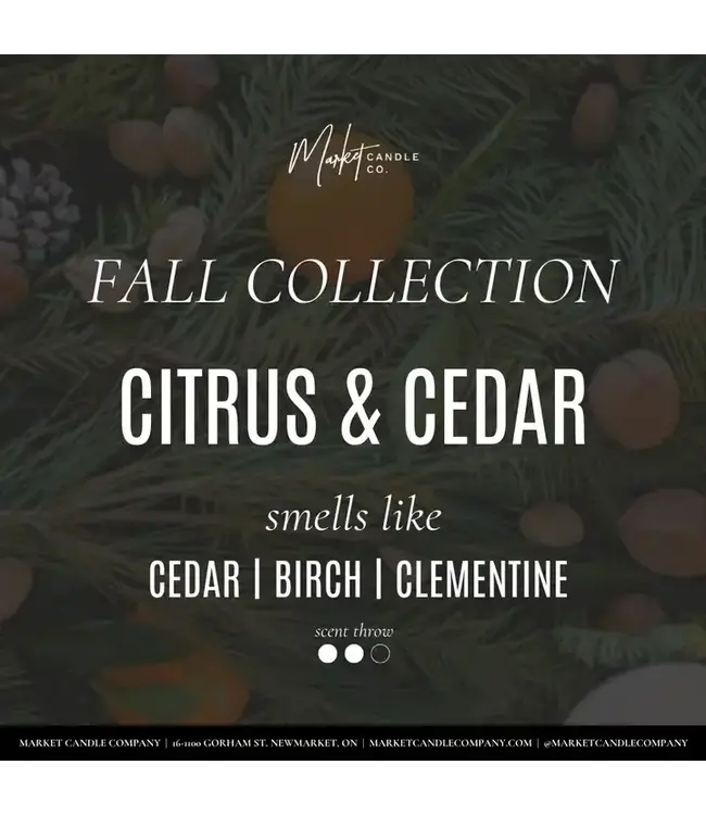 Citrus & Cedar Soy Fall Candle