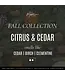 Citrus & Cedar Soy Fall Candle