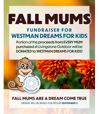 Livingstone Fall Mums Fundraiser for WDFK