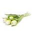 Lifelike 5 Stem Tulip Bunch - White