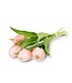 Lifelike 5 Stem Tulip Bunch - Pink