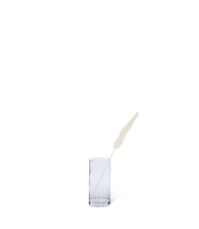 Small Pampas Grass - White