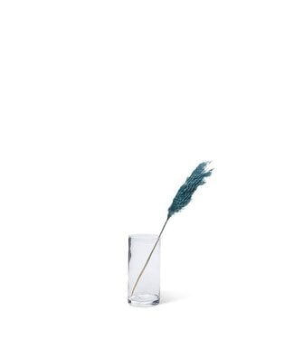 Abbott Collection Small Pampas Grass - Blue
