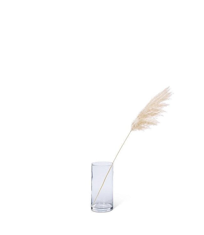 Medium Pampas Grass - White