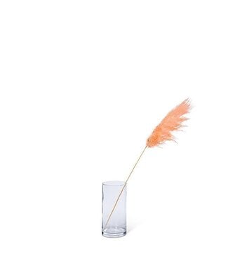 Abbott Collection Medium Pampas Grass - Pink