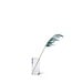 Medium Pampas Grass - Blue