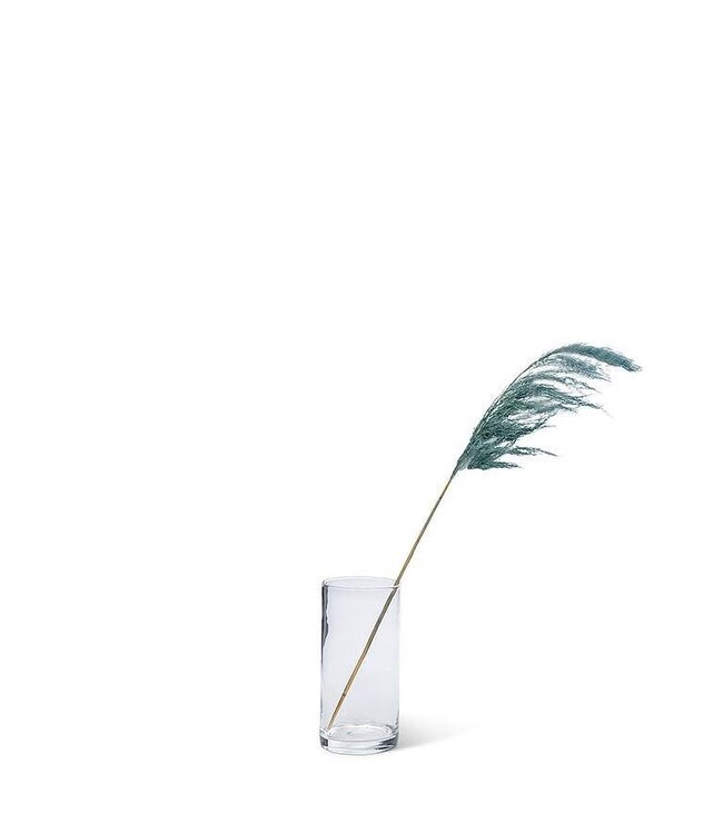 Medium Pampas Grass - Blue