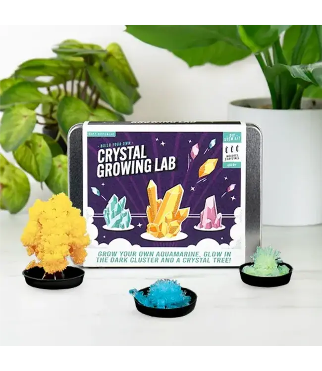 DIY Crystal Kit