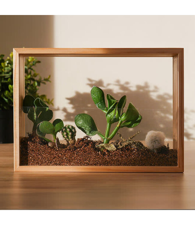 Vertical Garden DIY Kit