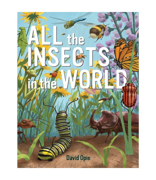 All the Insects in the World