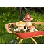 Medium Speckled Mushroom
