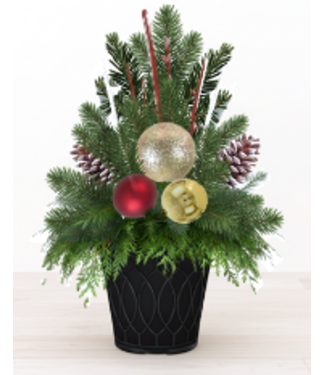 Livingstone (A) Winter Planter (Outdoor)
