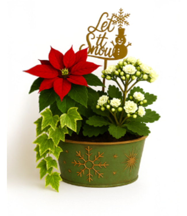 2025 Christmas Fundraiser - Festive Planter - 9 inch