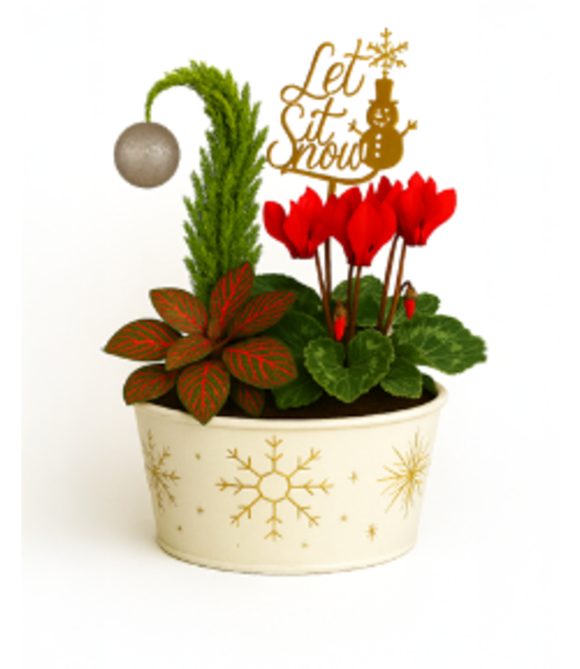 2025 Christmas Fundraiser Indoor Planter with Grinch Tree