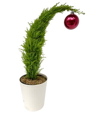 (F) Grinch Tree 6 inch