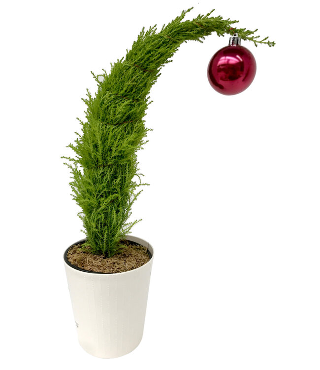 2025 Christmas Fundraiser Grinch Tree 6 inch