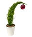 (F) Grinch Tree 6 inch