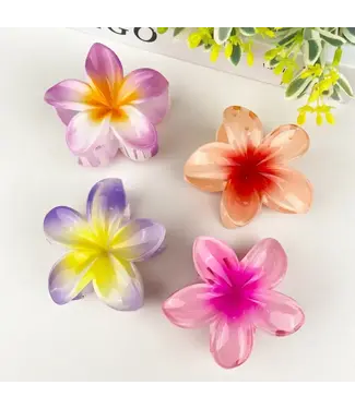 SoapElenGlen Colorful Plumeria Hair Clip