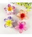 Colorful Plumeria Hair Clip