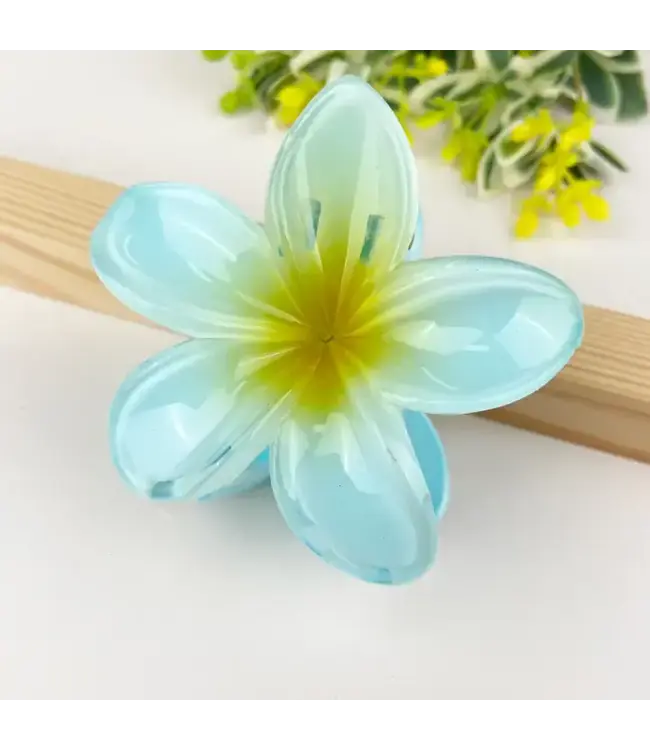 Colorful Plumeria Hair Clip