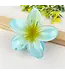 Colorful Plumeria Hair Clip