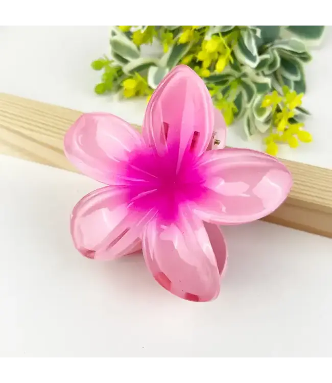 Colorful Plumeria Hair Clip
