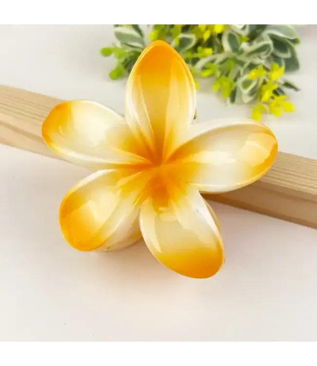 Colorful Plumeria Hair Clip