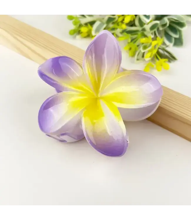 Colorful Plumeria Hair Clip